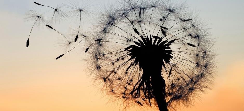 Individuele ademsessie | YogabyCarola