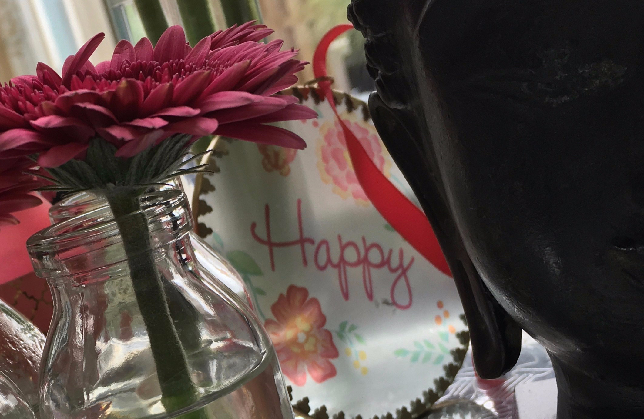 Individuele yogales | YogabyCarola