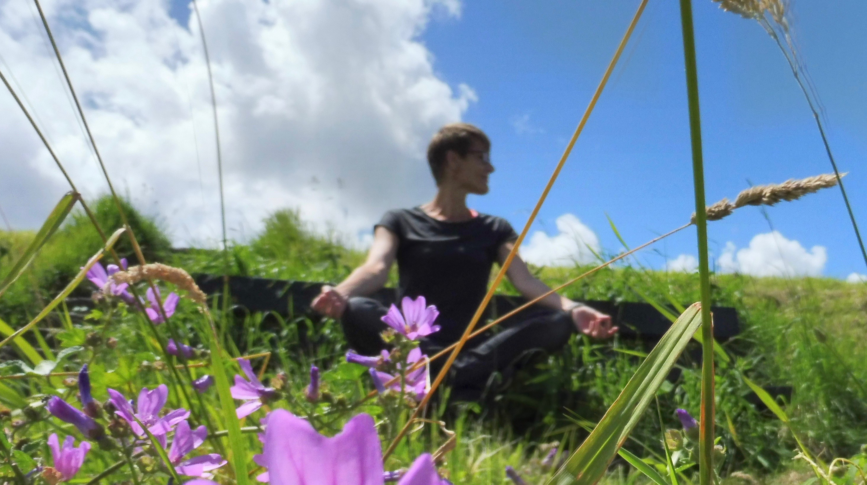 Yoga workshops | YogabyCarola