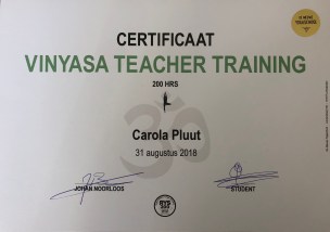 Vinyasa diploma_yogabycarola