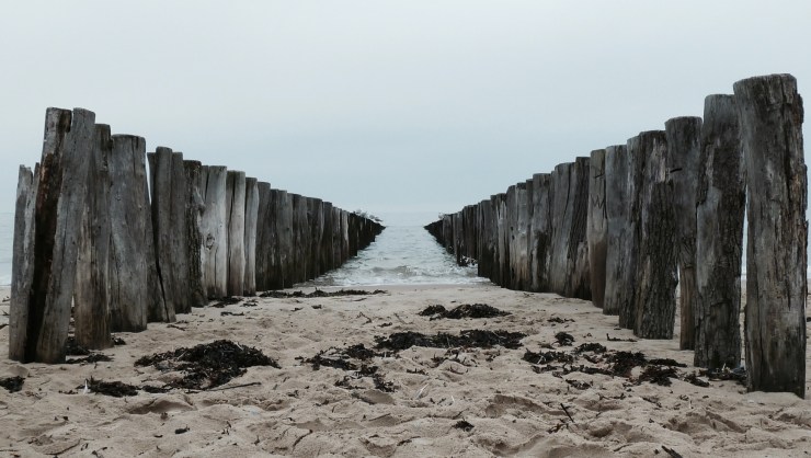 Yoga aanbod | YogabyCarola